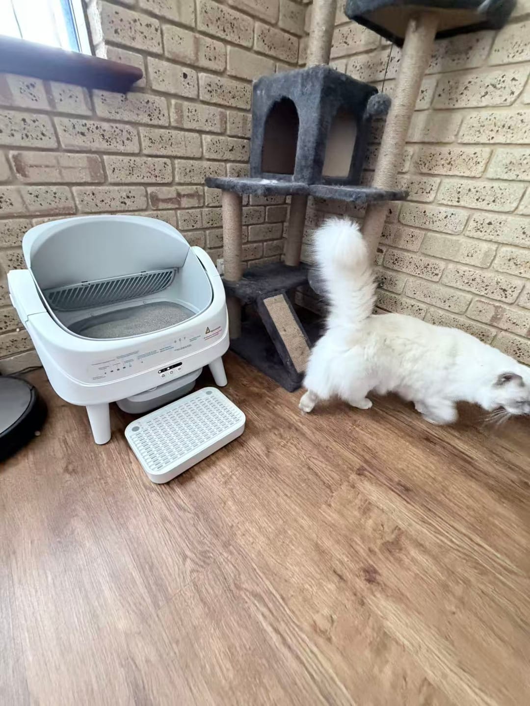 Customer photo review of Petbuds™ Open One 2026 Open-Top Self-Cleaning Litter Box