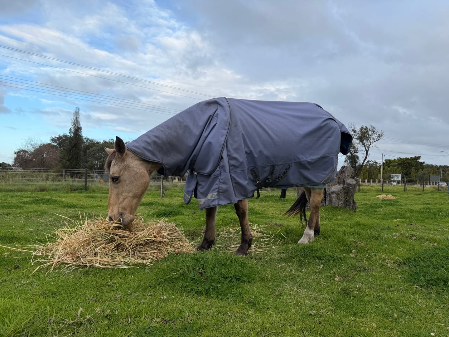 Customer photo review of LE Boxter Turnout Ripstop 50g