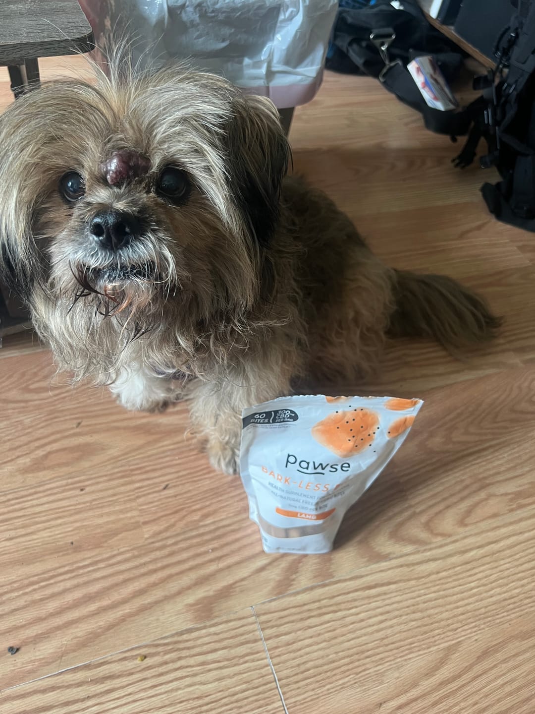 Customer photo review of Bark-Less Bites