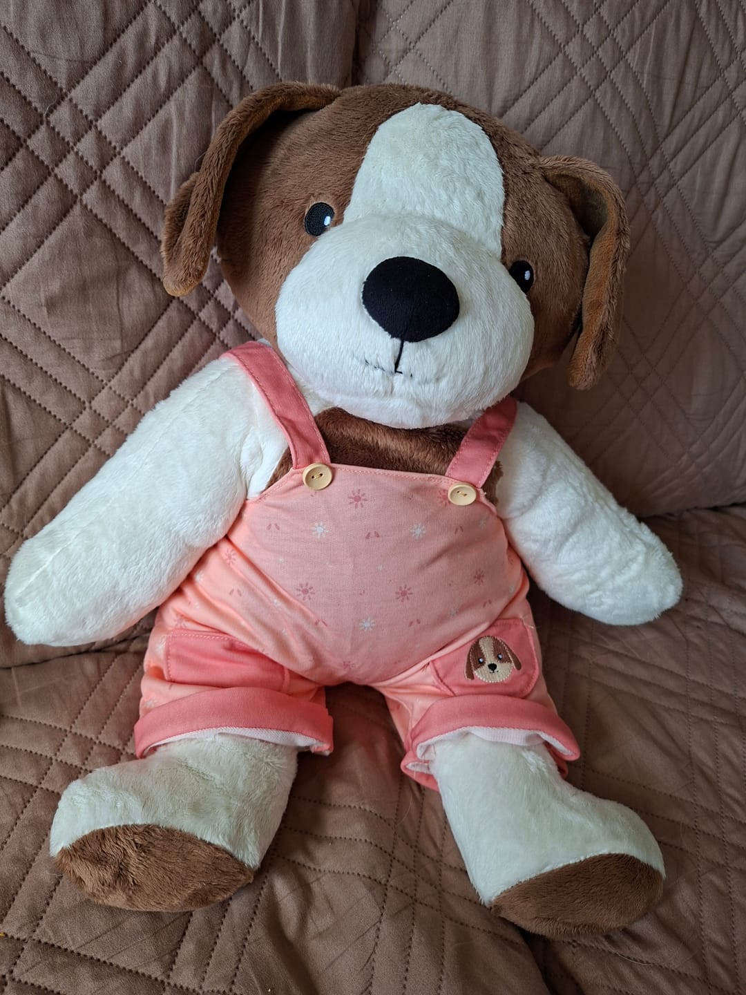 Customer photo review of Hond Kleding Lente Lotgenootje