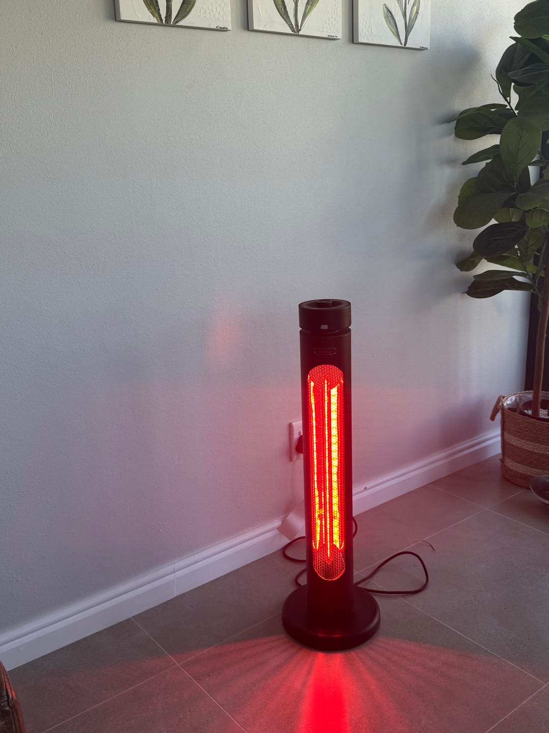 Customer photo review of Indoor & Outdoor Infrared Heater