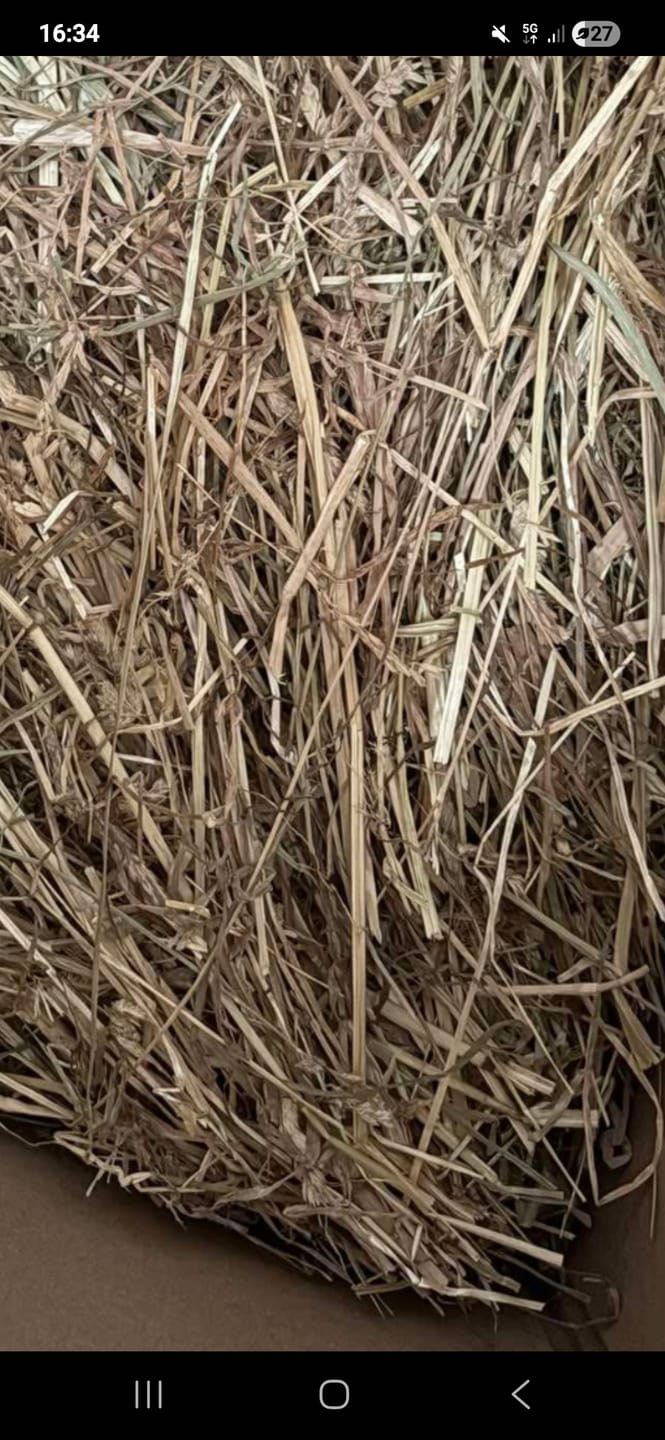Customer photo review of Foin de prairie