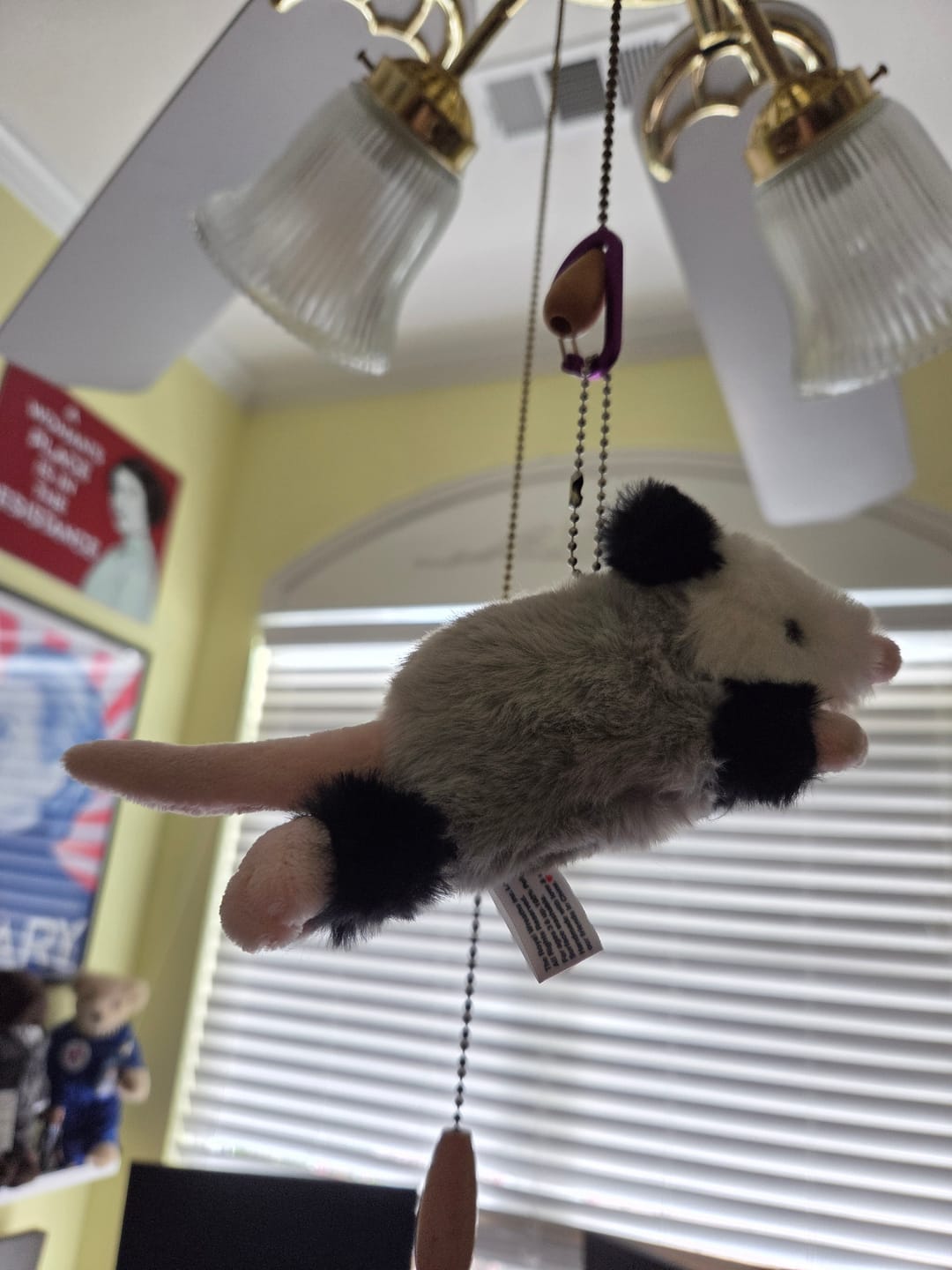 Customer photo review of Forgotten Peter the Opossum
