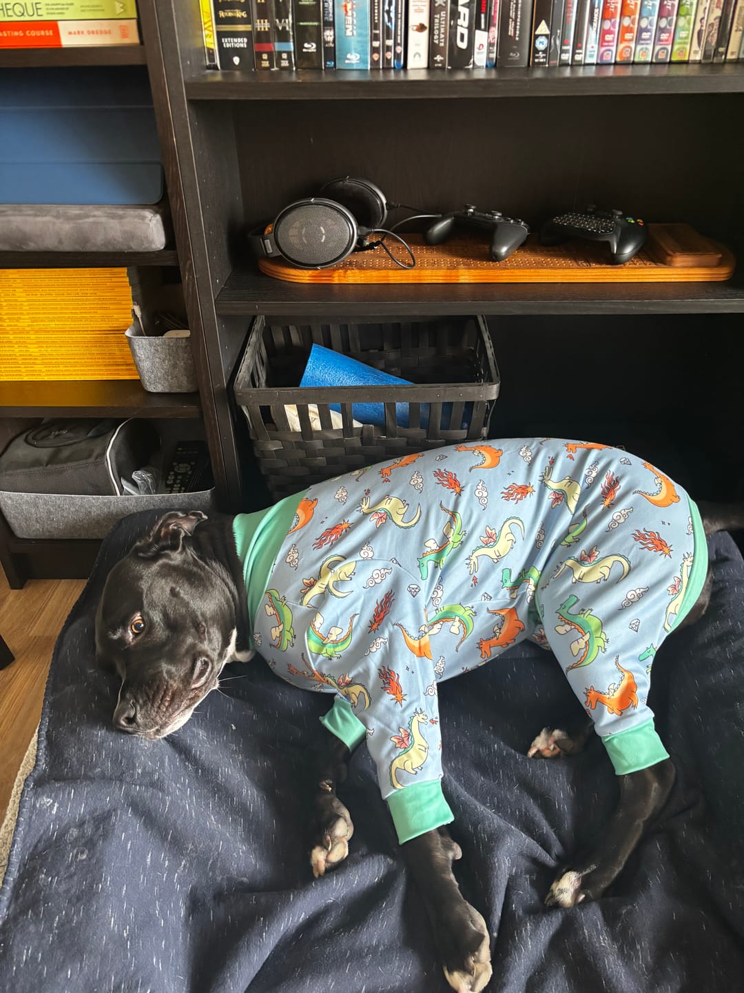 Customer photo review of Dog Pajama - Dragons