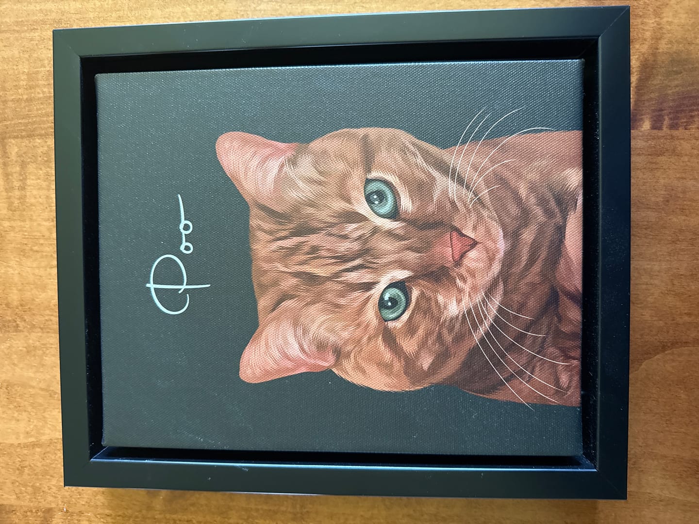 Customer photo review of Pet Art Canvas Wrap