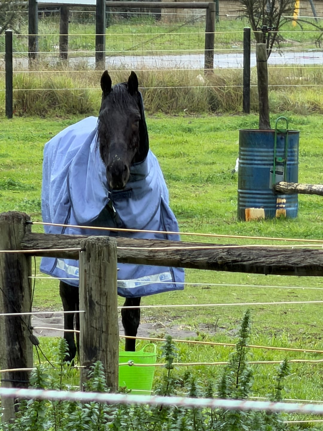 Customer photo review of LE Boxter Turnout Ripstop 50g