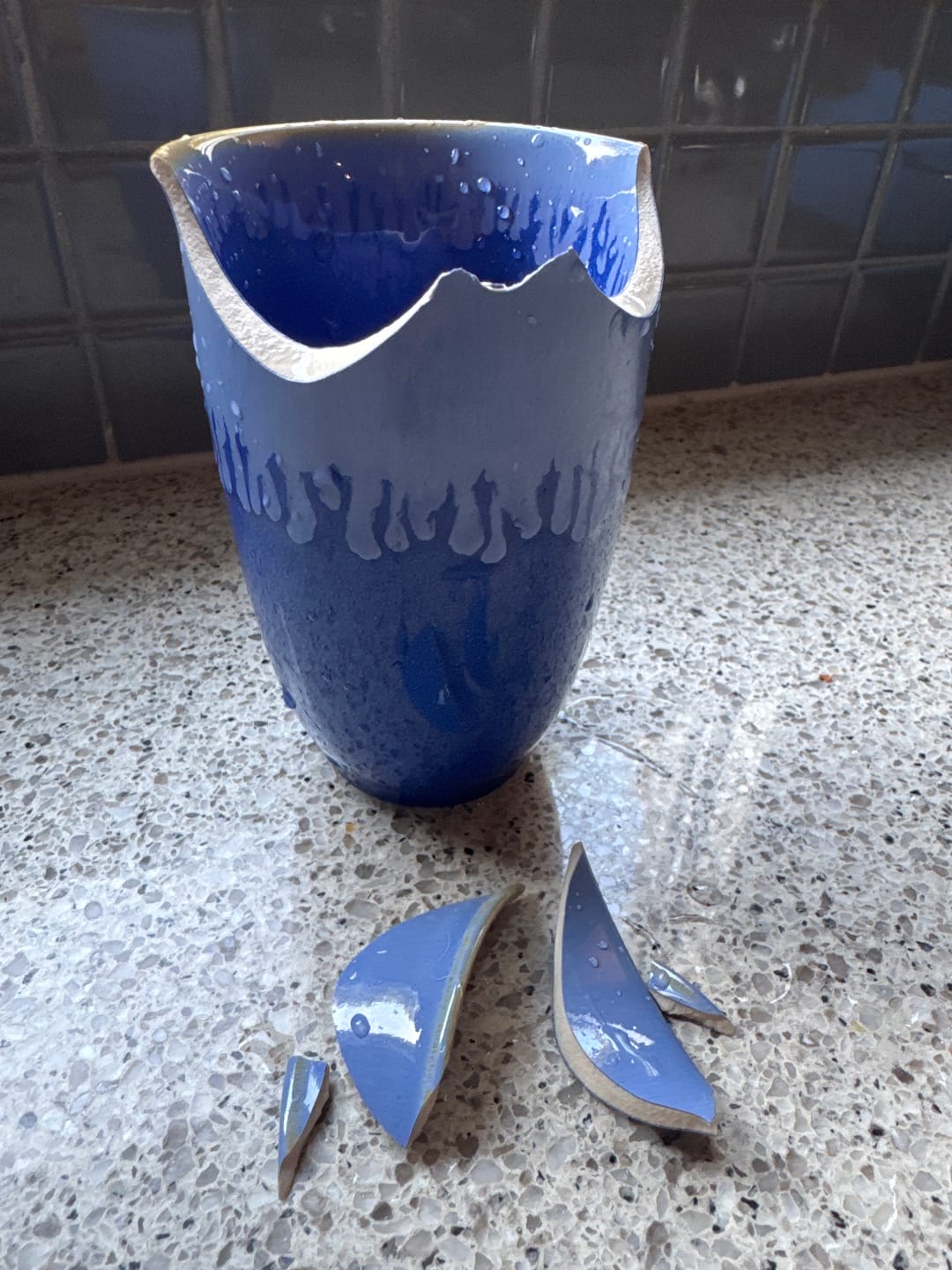 Customer photo review of Neptune Cup 12oz