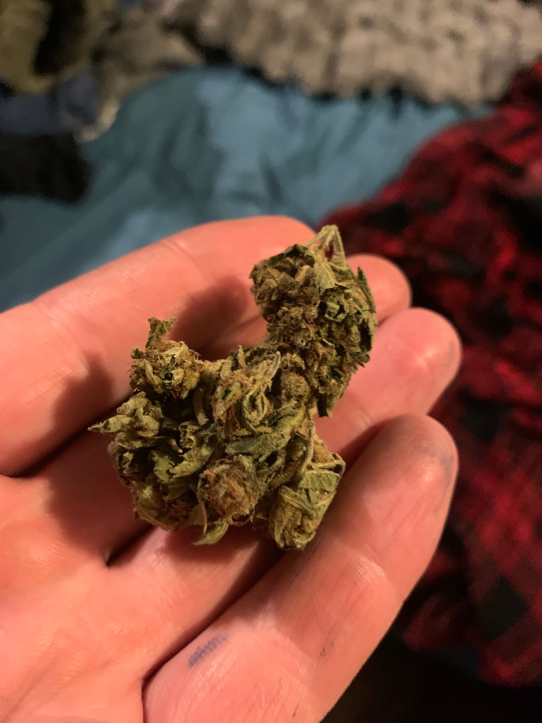 Customer photo review of Double Dream - 28 Grams - Sativa