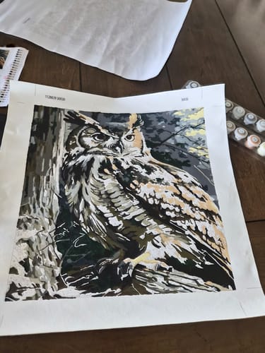 Customer photo review of Owl III