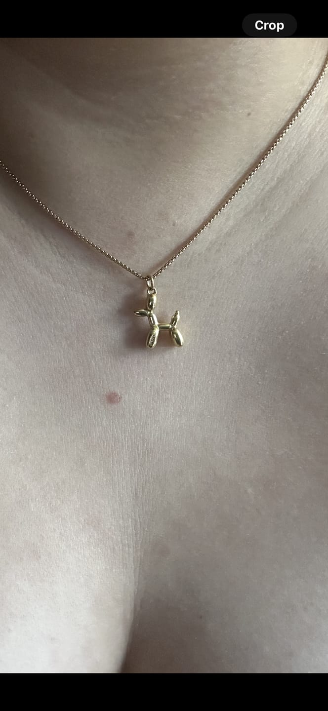 Customer photo review of Collar Doggy