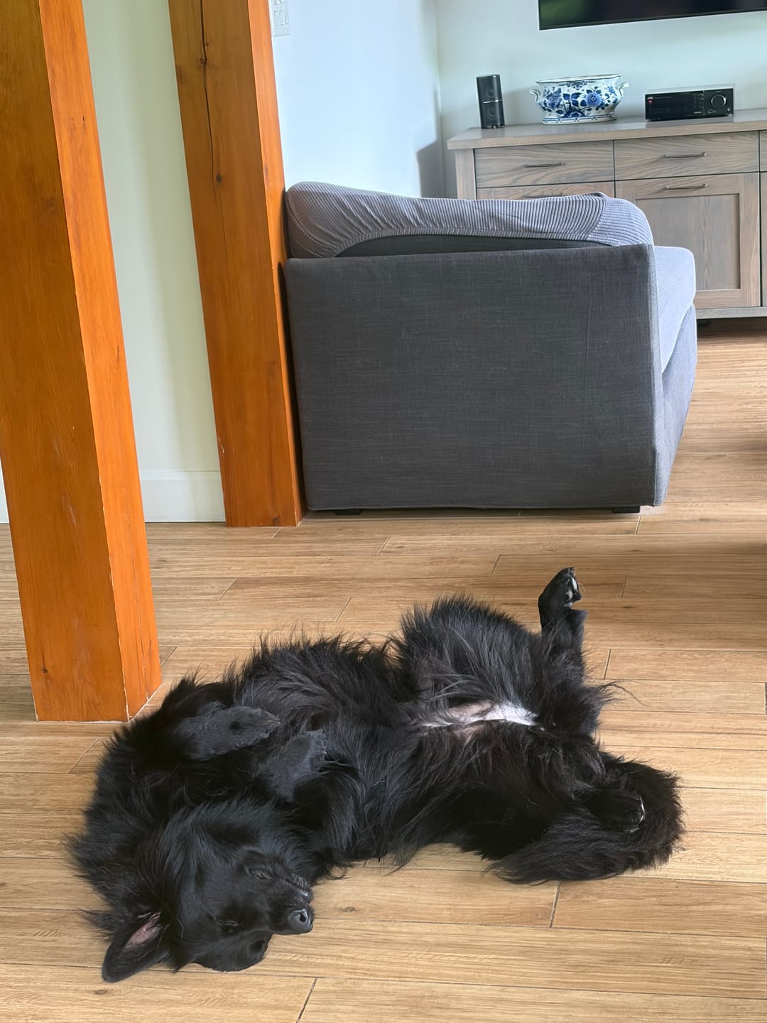 Customer photo review of K9 Choice - Os pour chien congelé - 3lb