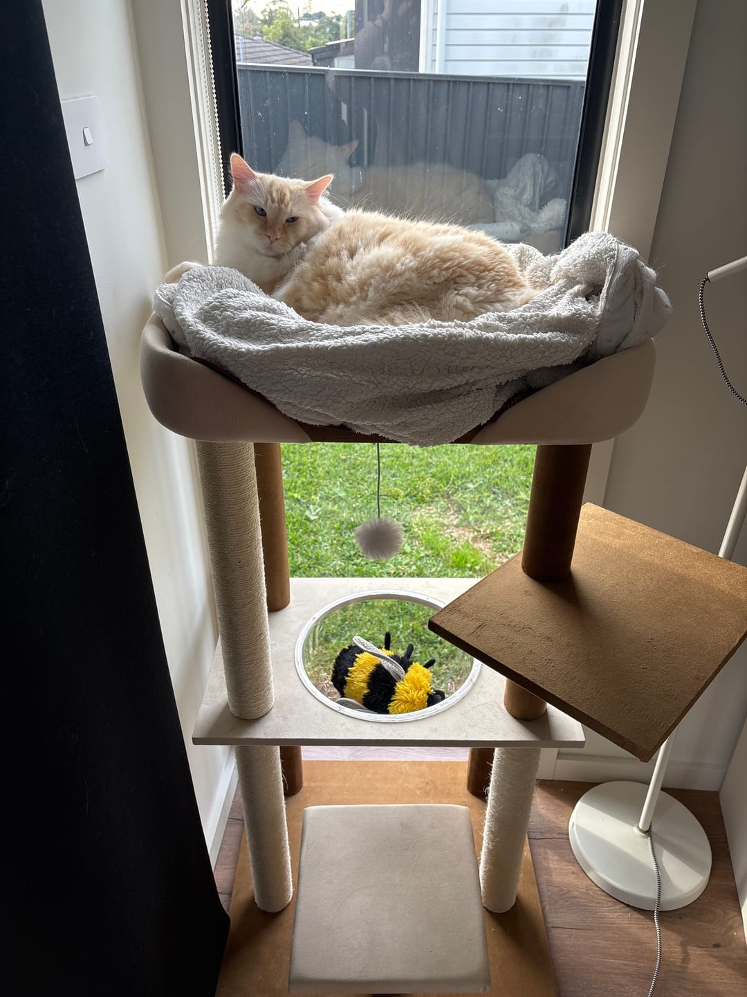 Customer photo review of Luxury Japanese-Style Cat Tree with Large Bed – 90906