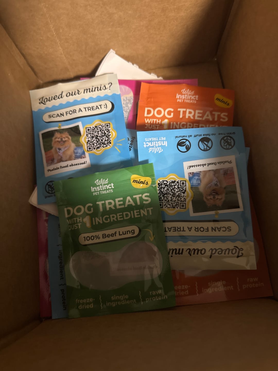 Customer photo review of The Dog Park Hero Bundle