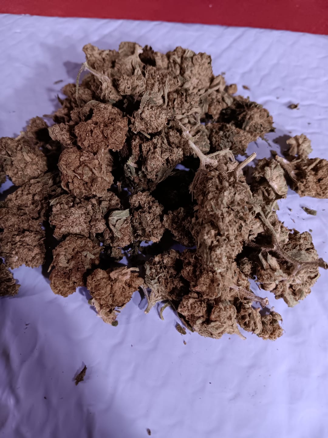 Customer photo review of Biscotti Cake - 28 Grams - Hybrid