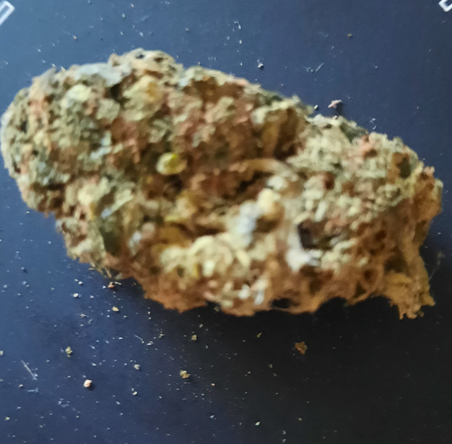 Customer photo review of 💥 Diesel Dynamite - SATIVA TURBO LVL 5/5