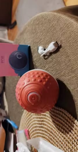 Customer photo review of Boingo Ball