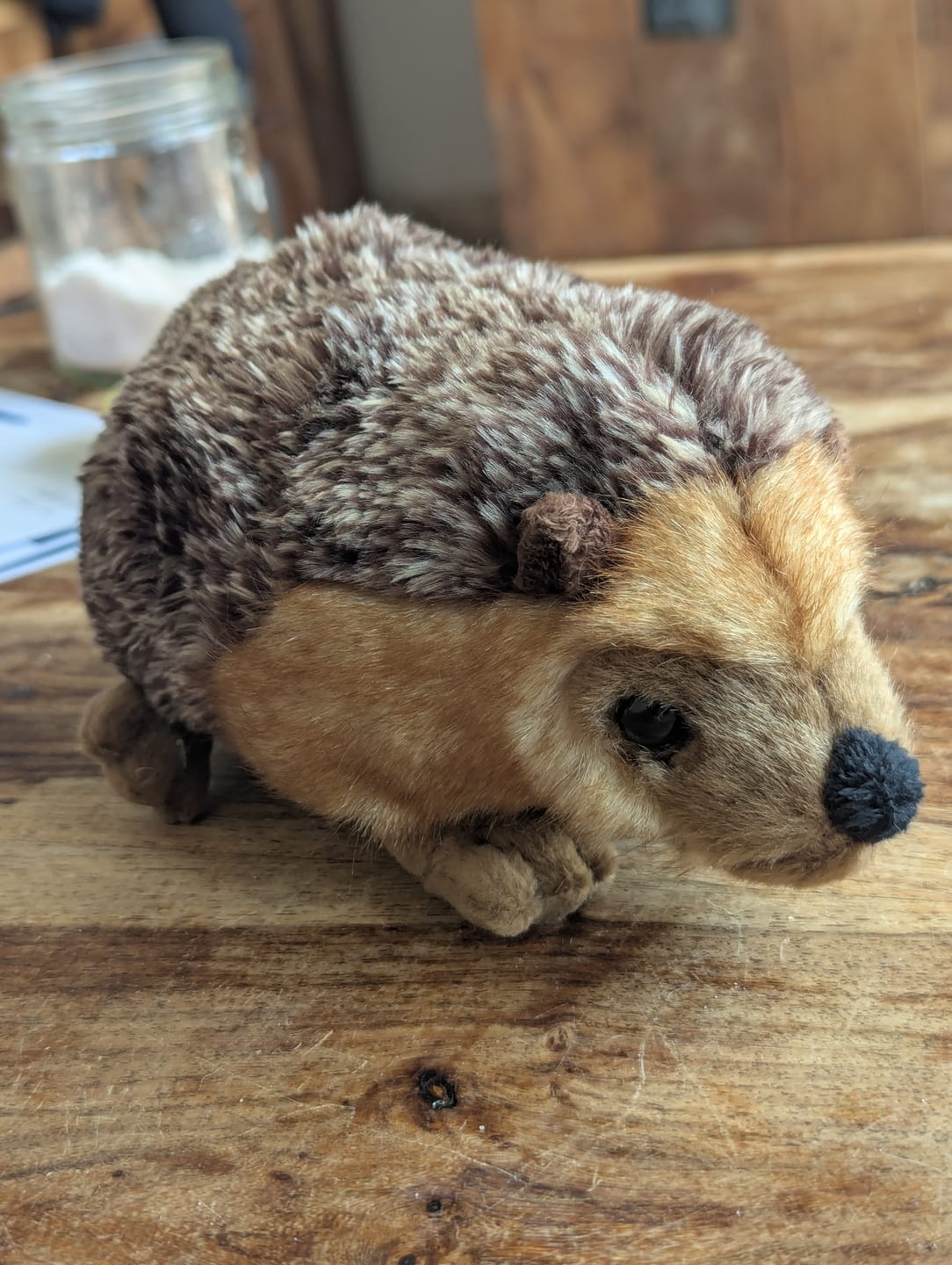 Customer photo review of Hedgehog Plush Toy – Ultra-Realistic, Cute, and Cuddly Stuffed Animal