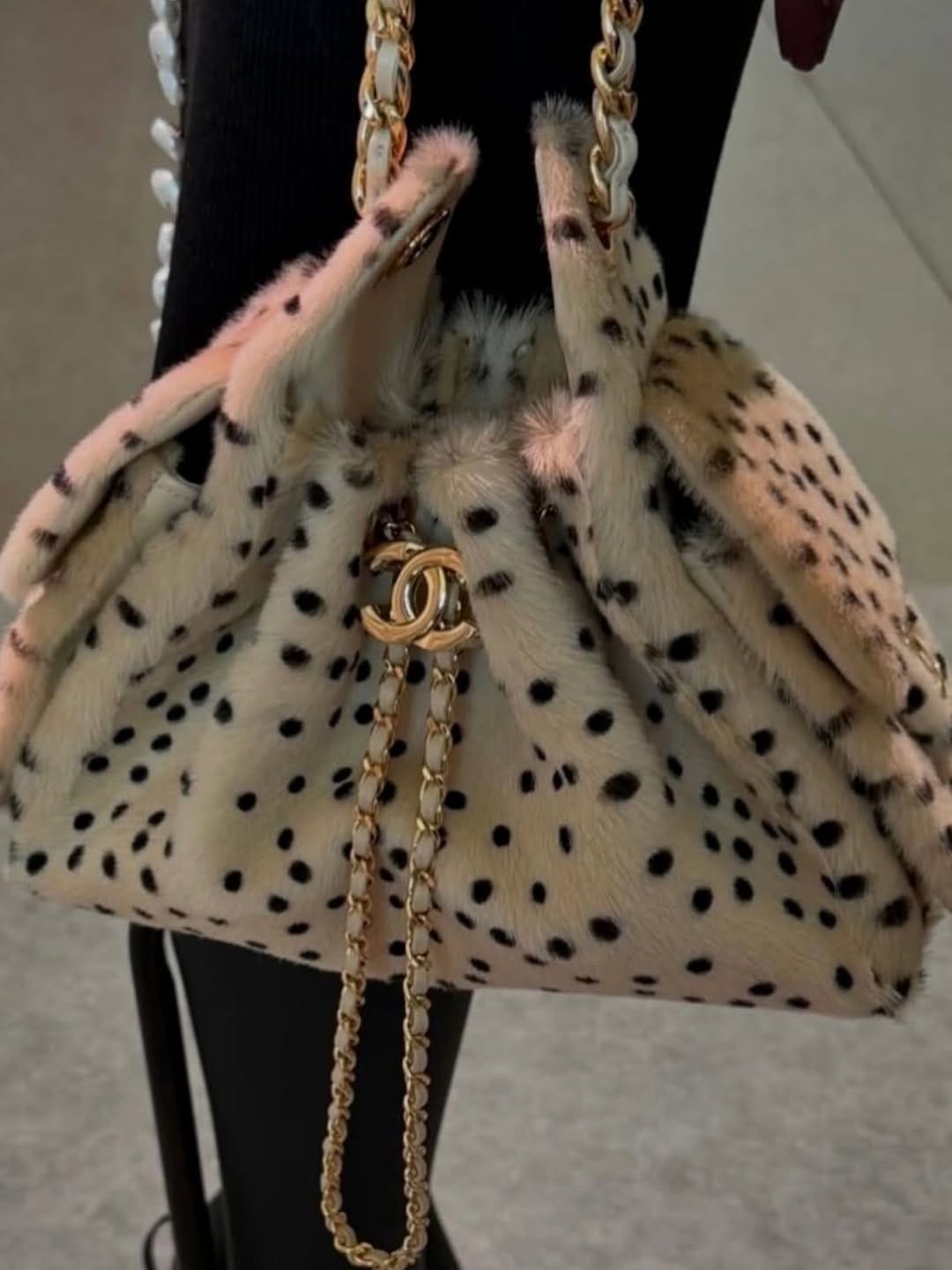 Customer photo review of Chanel 2026 Hobo Bag 22cm Beige Black Plush Leather