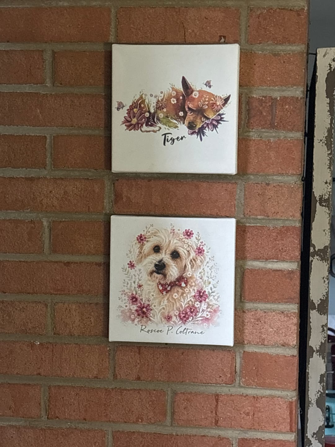 Customer photo review of Flowerpup Custom Pet Portrait (Humans too!)
