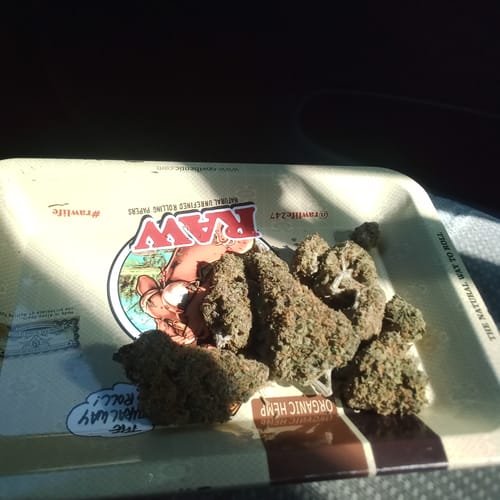 Customer photo review of Papaya Dream THCA Flower