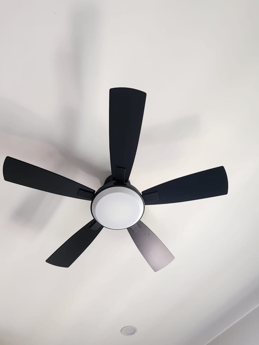 Customer photo review of Ventilador de Techo Elevé Comfort M1 Perfil Bajo 5 Aspas 44 Pulgadas