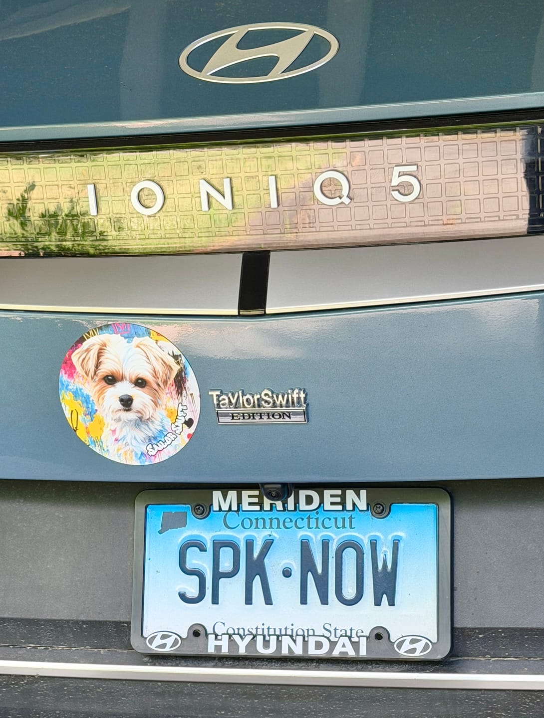 Customer photo review of Graffiti - Personalized Car Magnet