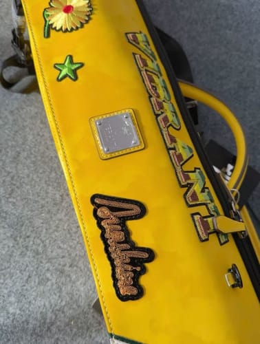 Customer photo review of Lizard Rainbow Series Cue Case 3B4S