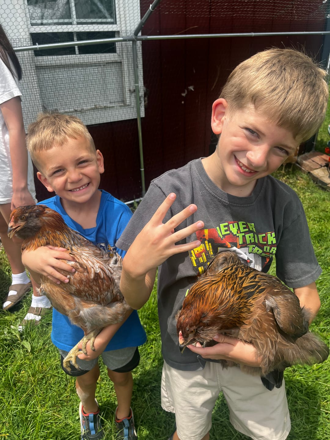 Customer photo review of Nesting Herbs - Control Odors & Keep Coops Mite & Lice-Free