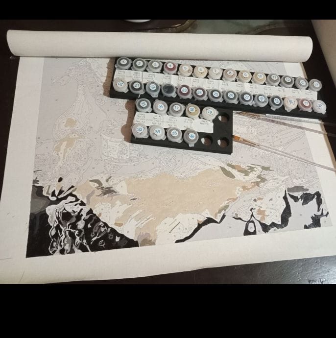 Customer photo review of Custom Paint By Numbers Kit