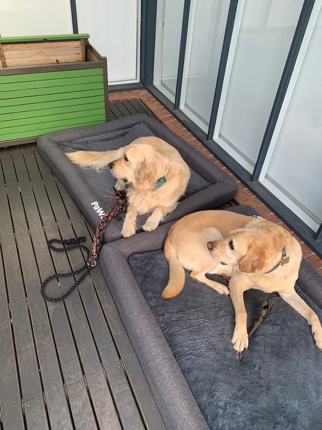Customer photo review of Premium Memory Foam Calming Dog Bed
