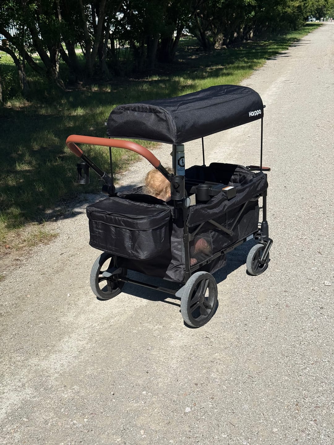 Customer photo review of HARPPA Remy | 2-Seat Foldable Wagon Stroller — Easy Outings, Every Day