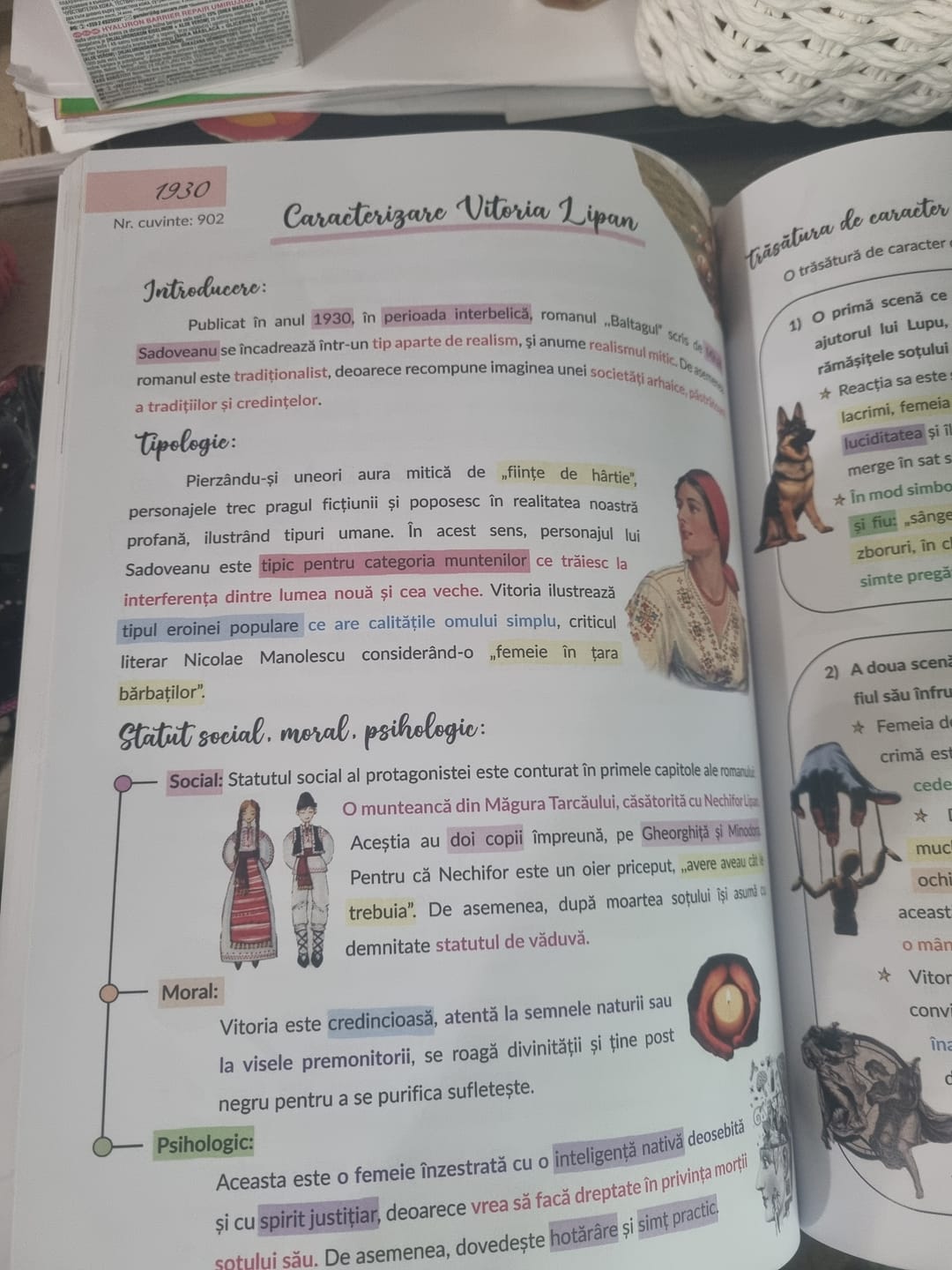 Customer photo review of Carte Română Bacalaureat Bacademia (temă și viziune, caracterizare, relație) - Ediția II