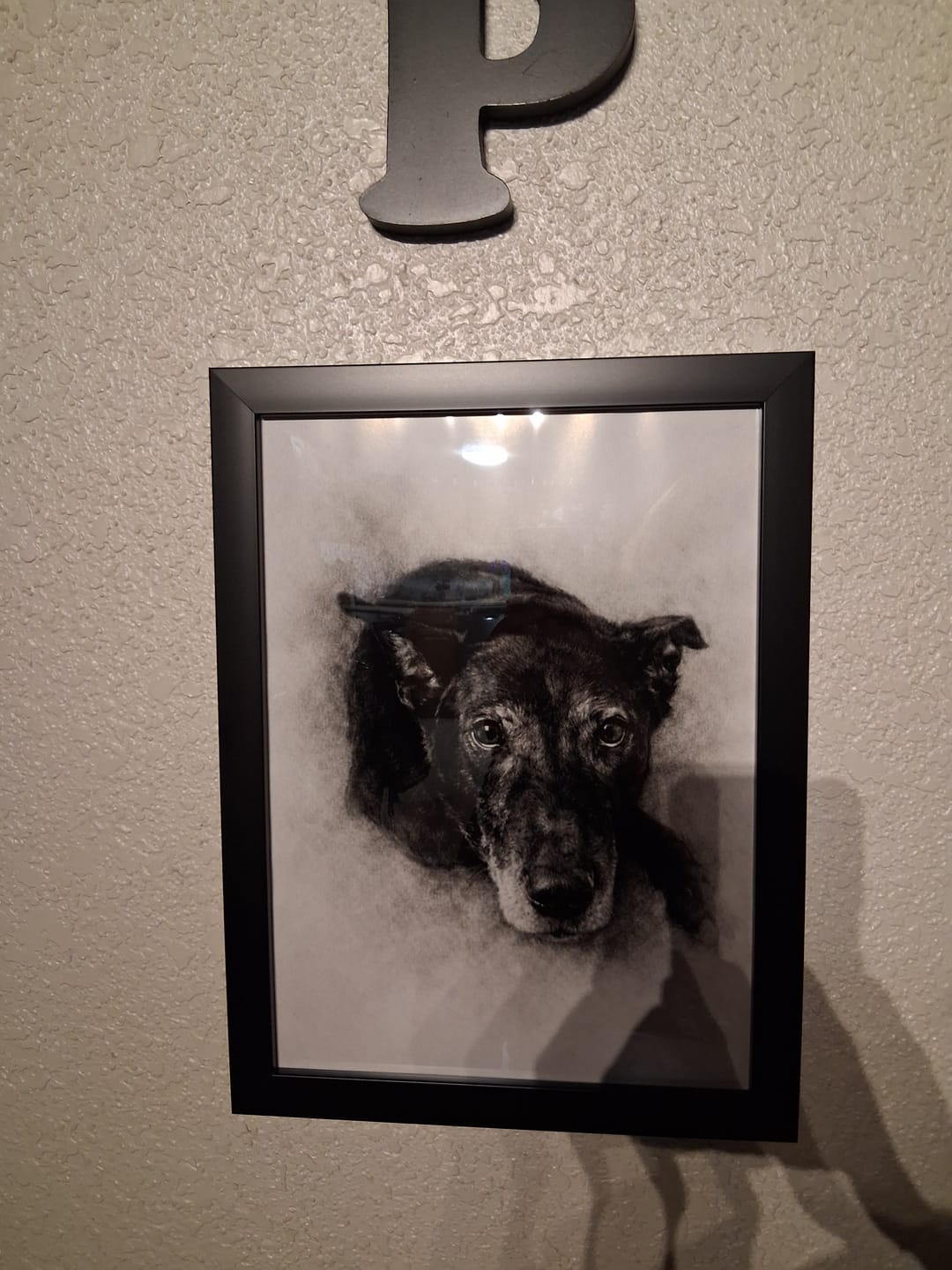 Customer photo review of Charcoal - Personalized Poster