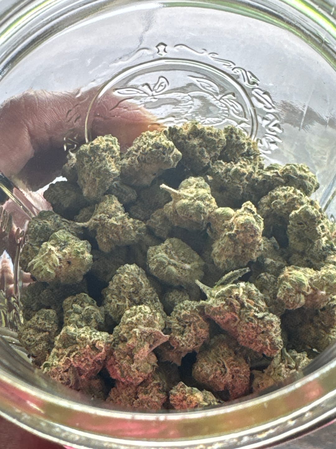 Customer photo review of OG Kush THCA Flower
