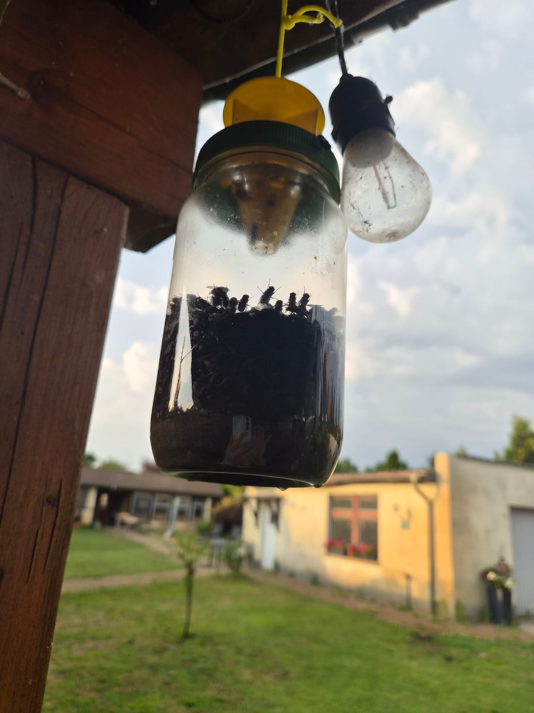 Customer photo review of HorseSafe LiquidTrap – Schluss mit Fliegenstress auf deinem Hof