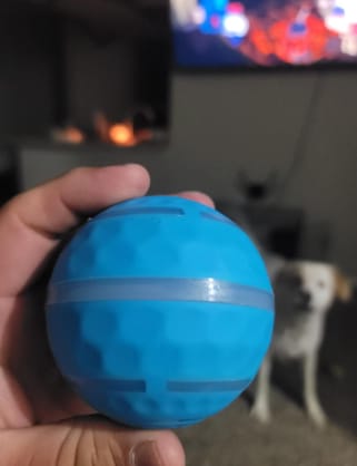 Customer photo review of Boingo Ball