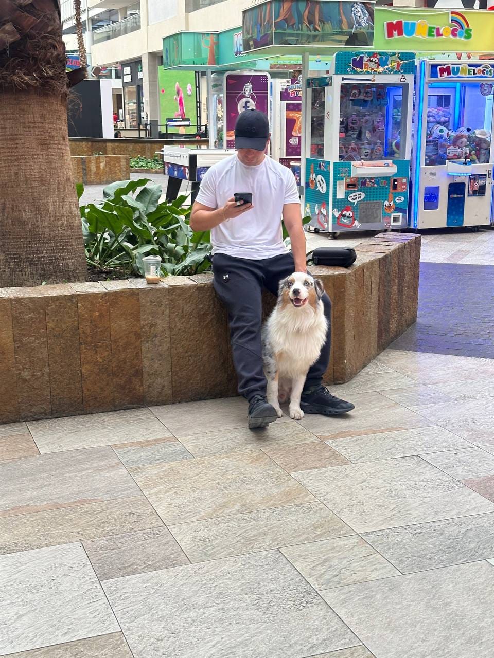 Customer photo review of Training Sport Tee Icon - White