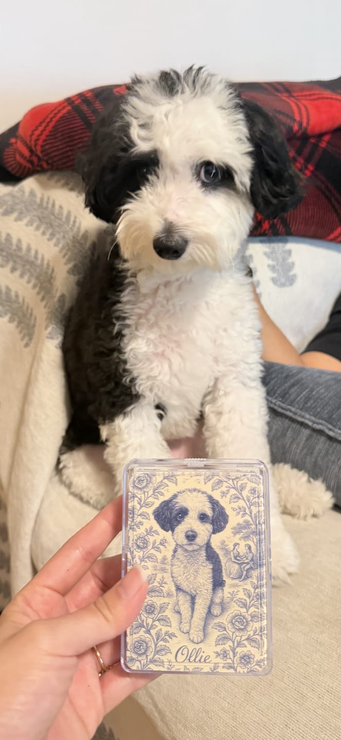 Customer photo review of Custom Poker Playing Cards