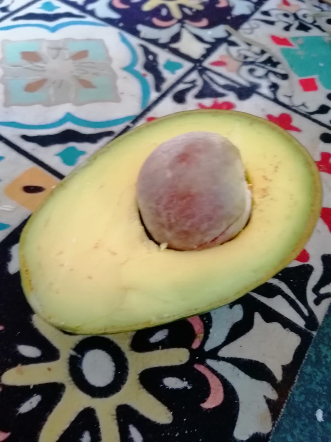 Customer photo review of Avocado Hass 13 Monate baumgereift Bio Kreta von Apostolis