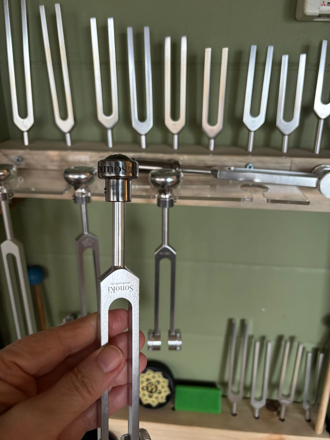 Customer photo review of Clear Quartz Crystal Weighted Tuning Fork Boot