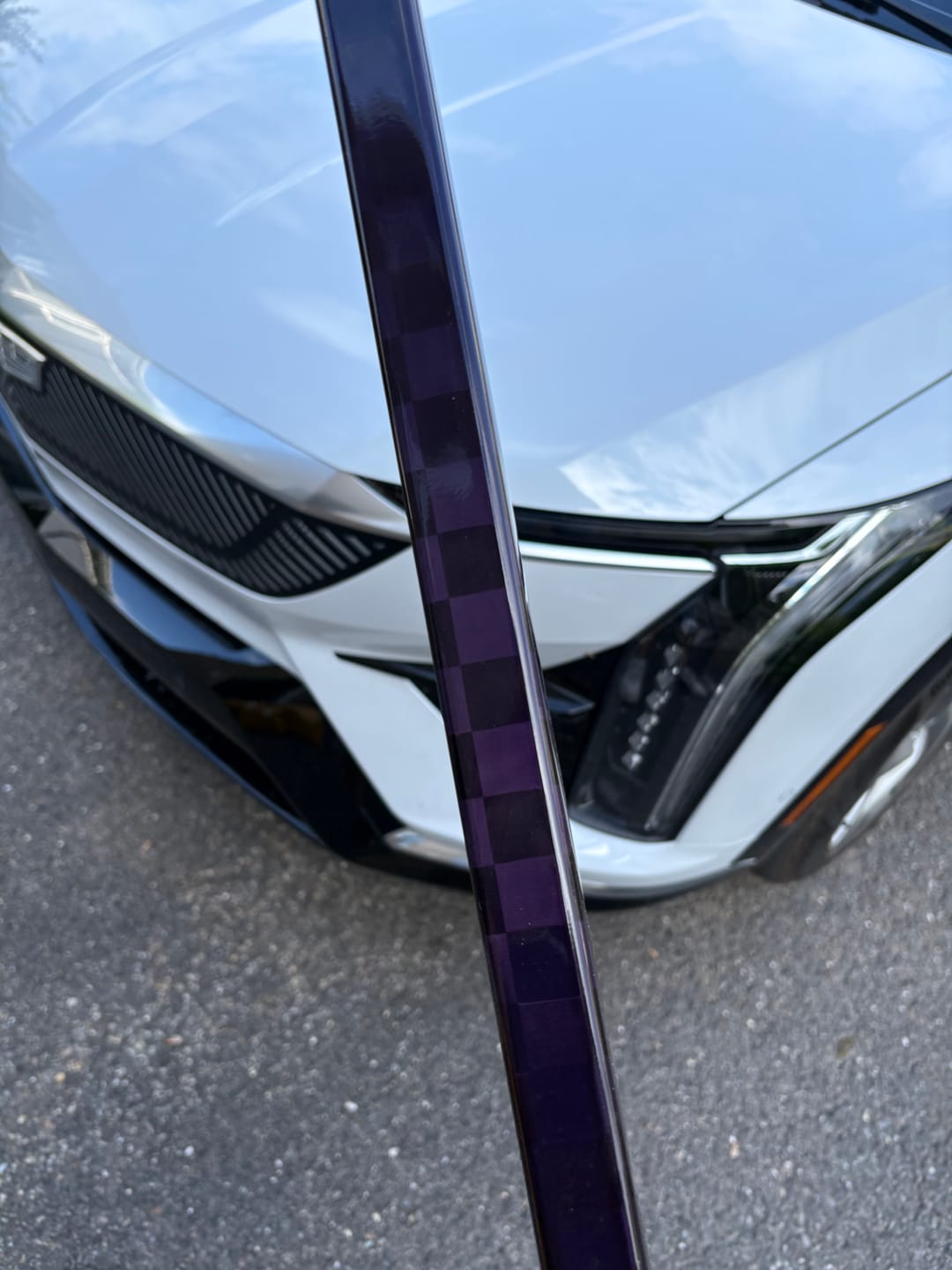 Customer photo review of Prototype Purple Extralite Sr (375g)