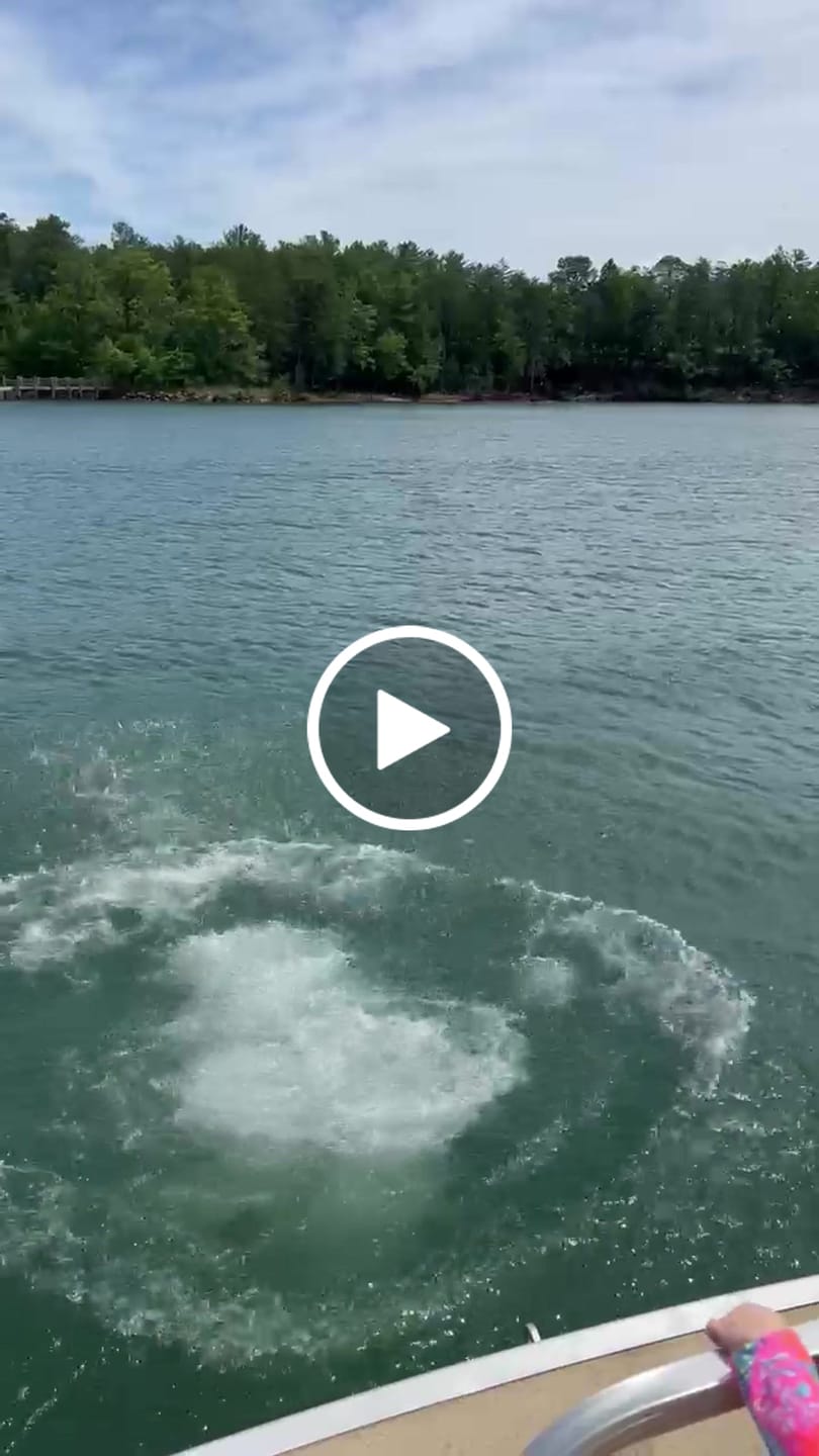 Customer video review of Wild Splatter Pink - 5"