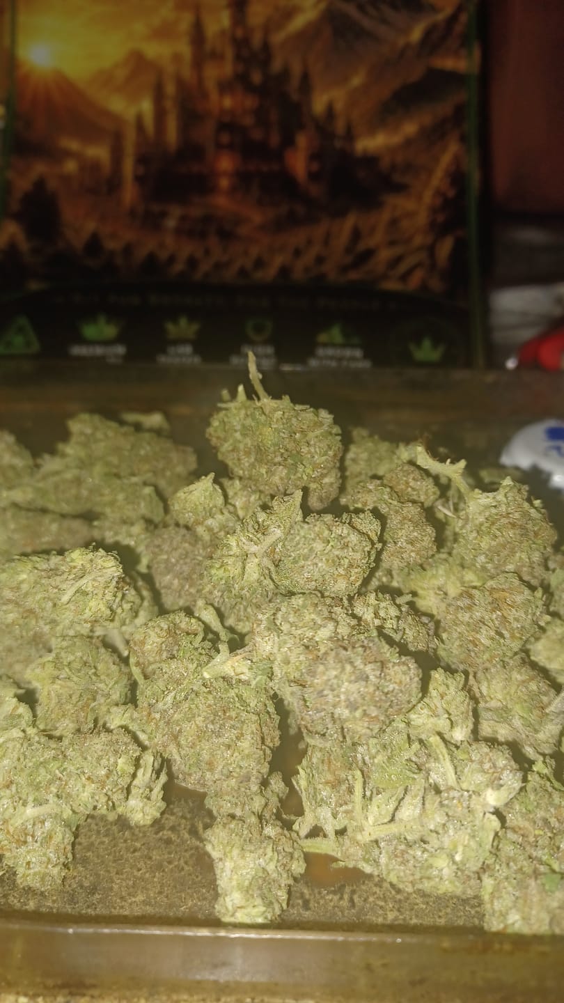 Customer photo review of Candy Cartel Light Assist THCA