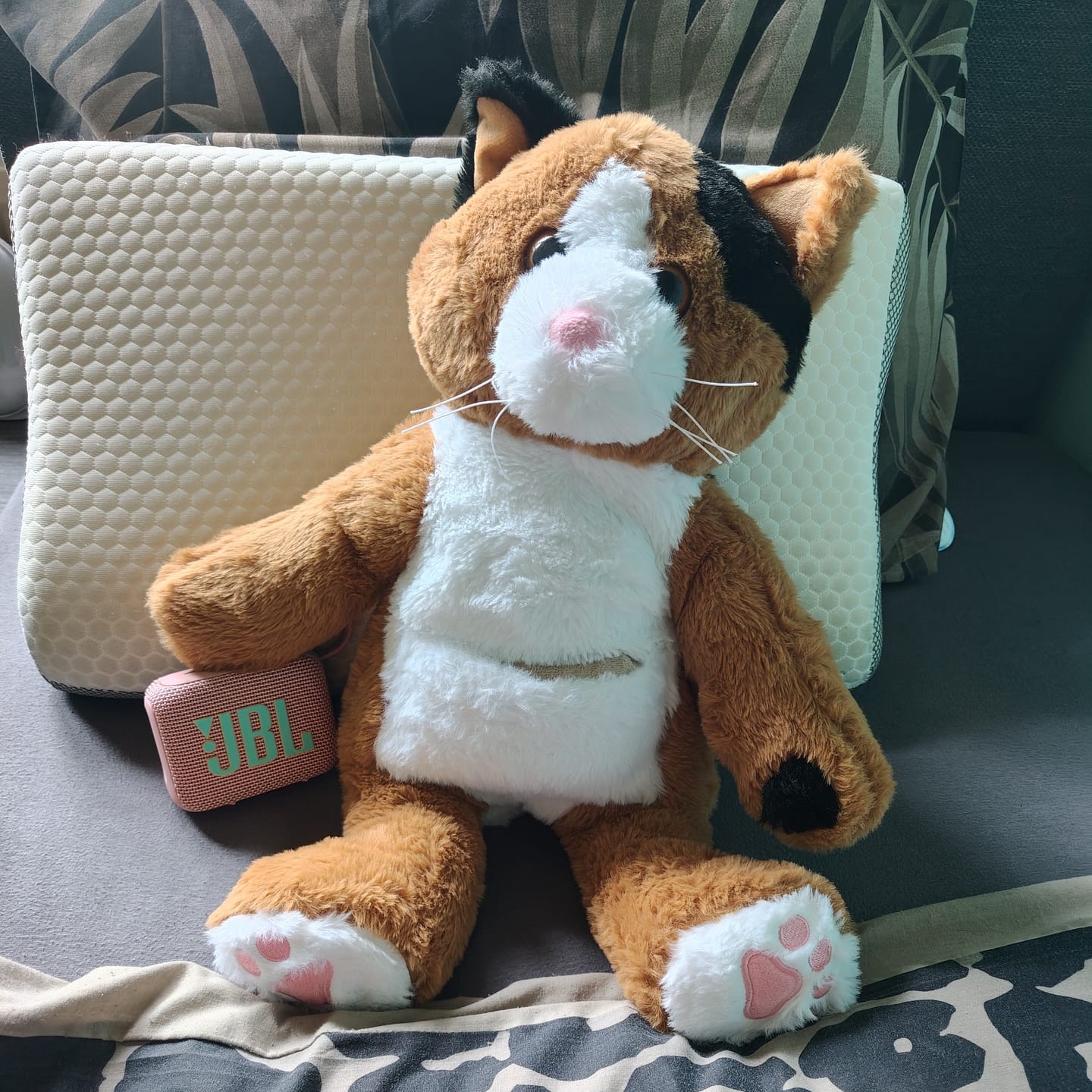 Customer photo review of Verzwaringsknuffel Kat 2,2 kg + Gratis Pittenzakje