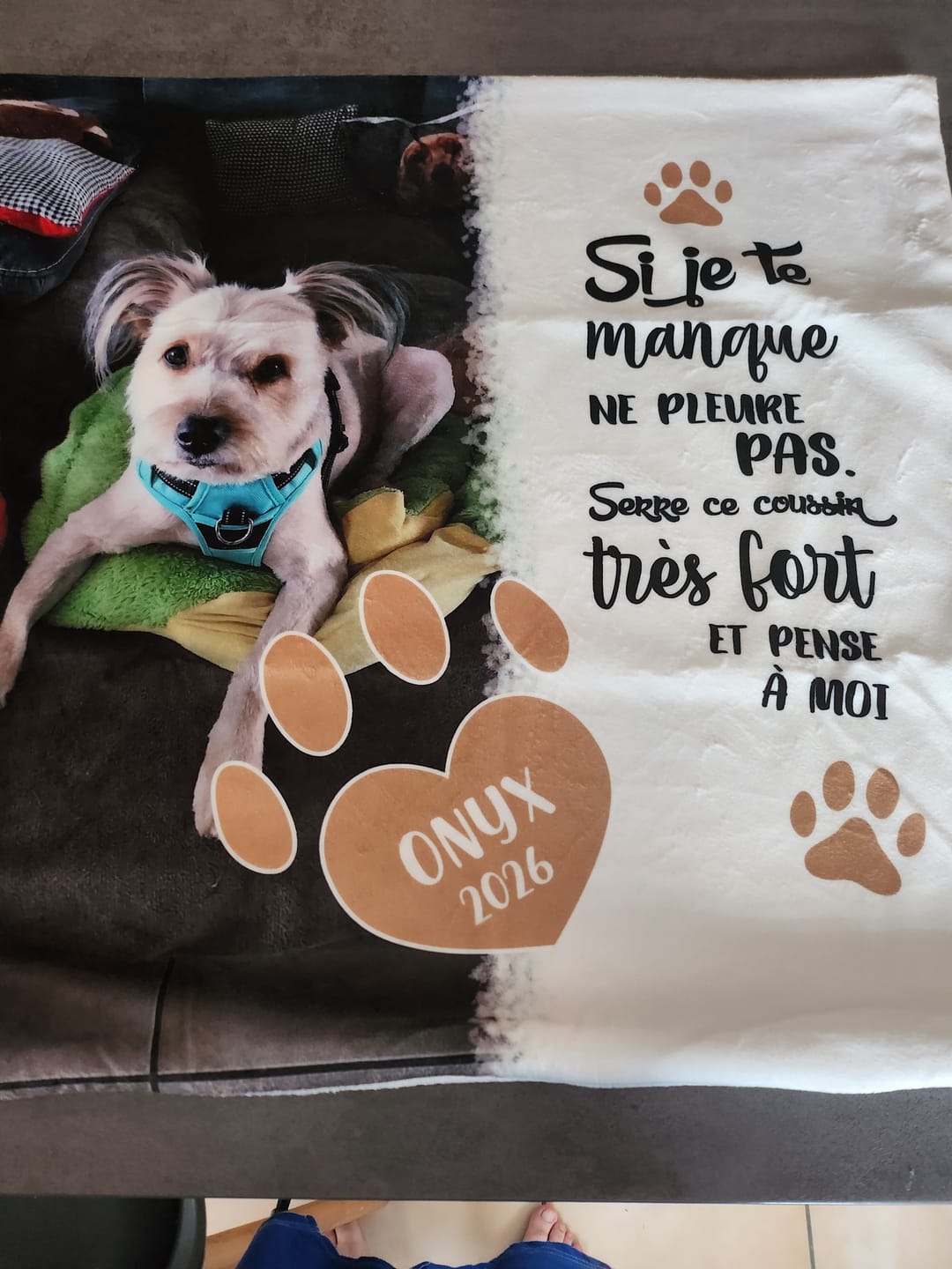 Customer photo review of Si je te manque - Coussin personnalisé