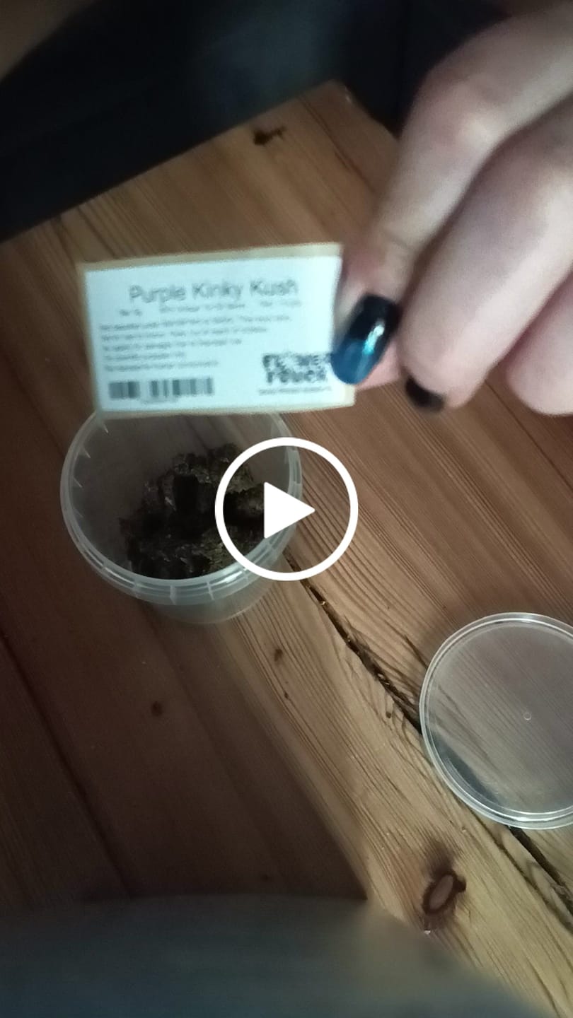 Customer video review of 🧞Purple Kinky Kush – Power Level 5/5