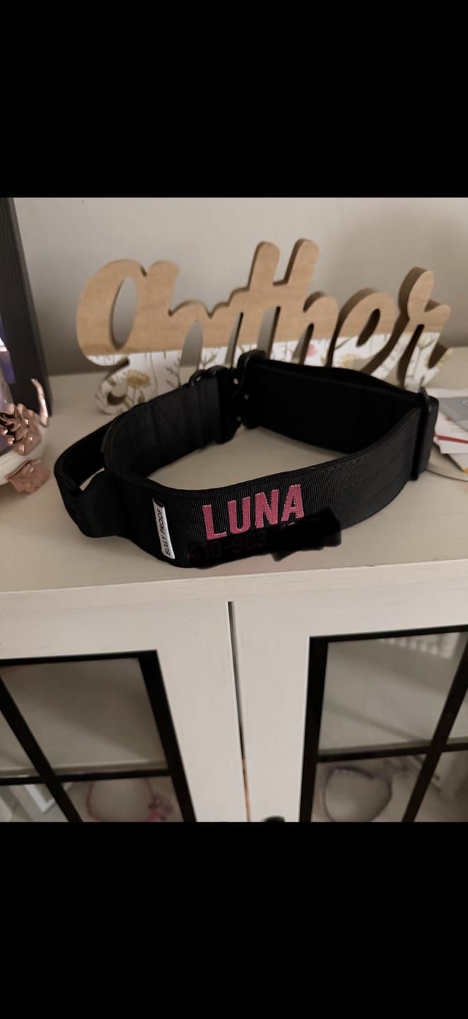 Customer photo review of Personalized Bully Proof Collar