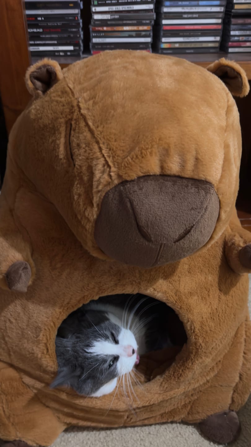 Customer photo review of Cartoon Plush Cat Cave – Capybara & Avocado-Inspired Soft Pet Bed Hideaway