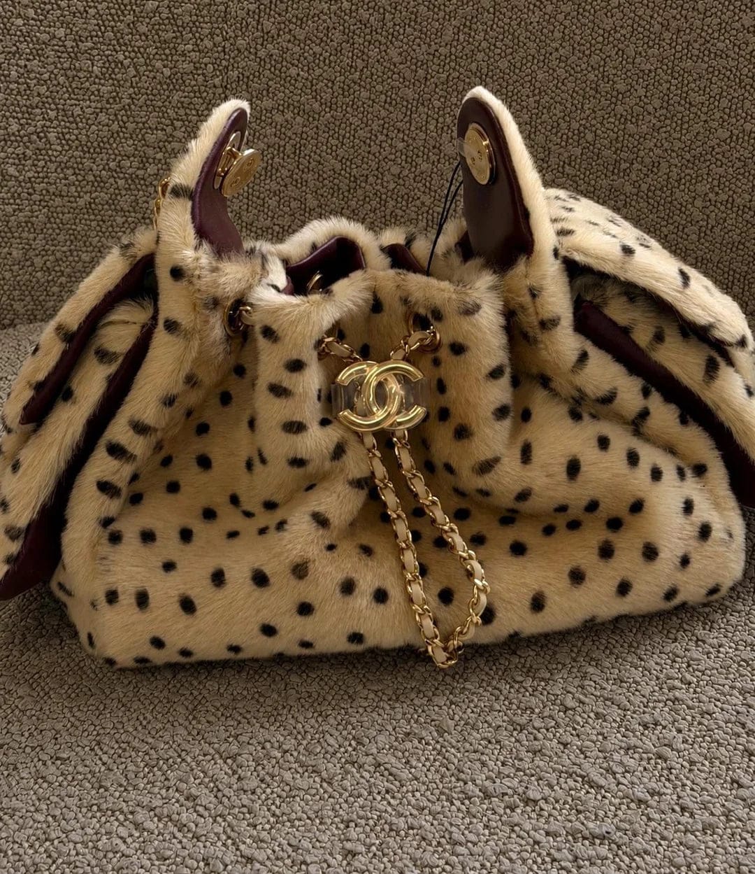 Customer photo review of Chanel 2026 Hobo Bag 22cm Beige Black Plush Leather