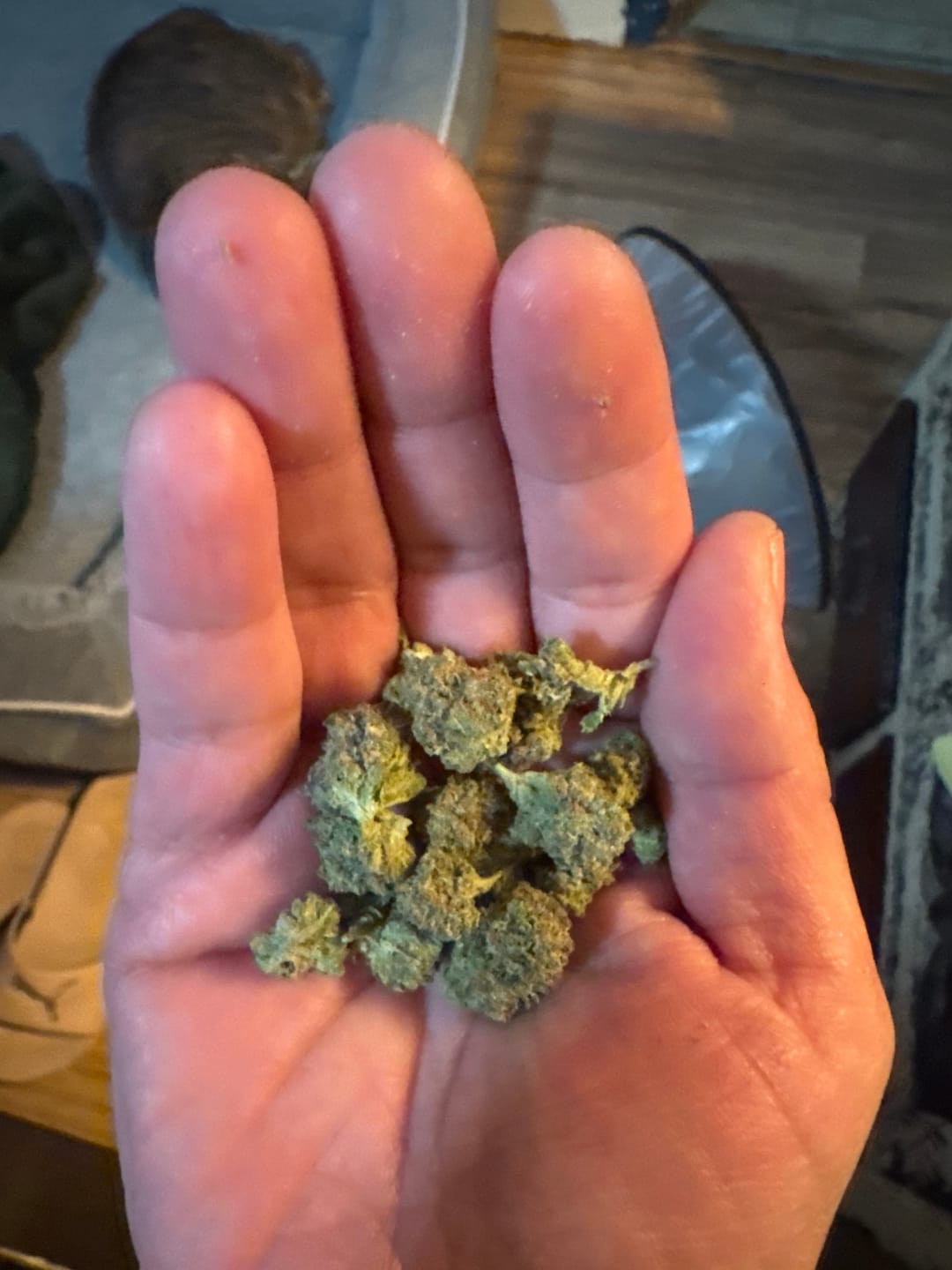 Customer photo review of Candy Cartel Light Assist THCA